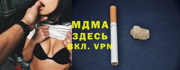 прущие грибы Переславль-Залесский