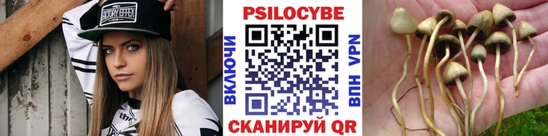Галлюциногенные грибы мухоморы  Терек 